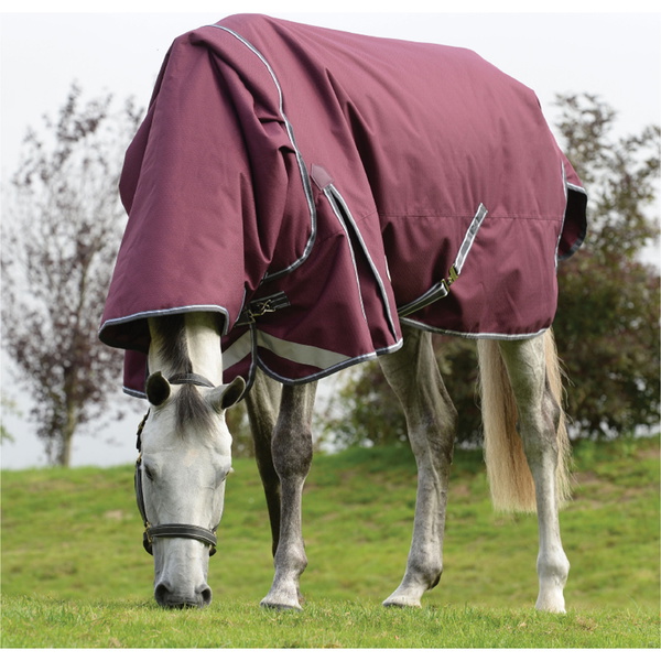 Weatherbeeta Comfitec Plus Dynamic II Medium-Lite Detach-A-Neck Turnout Rug - Maroon